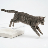Cassava cat litter